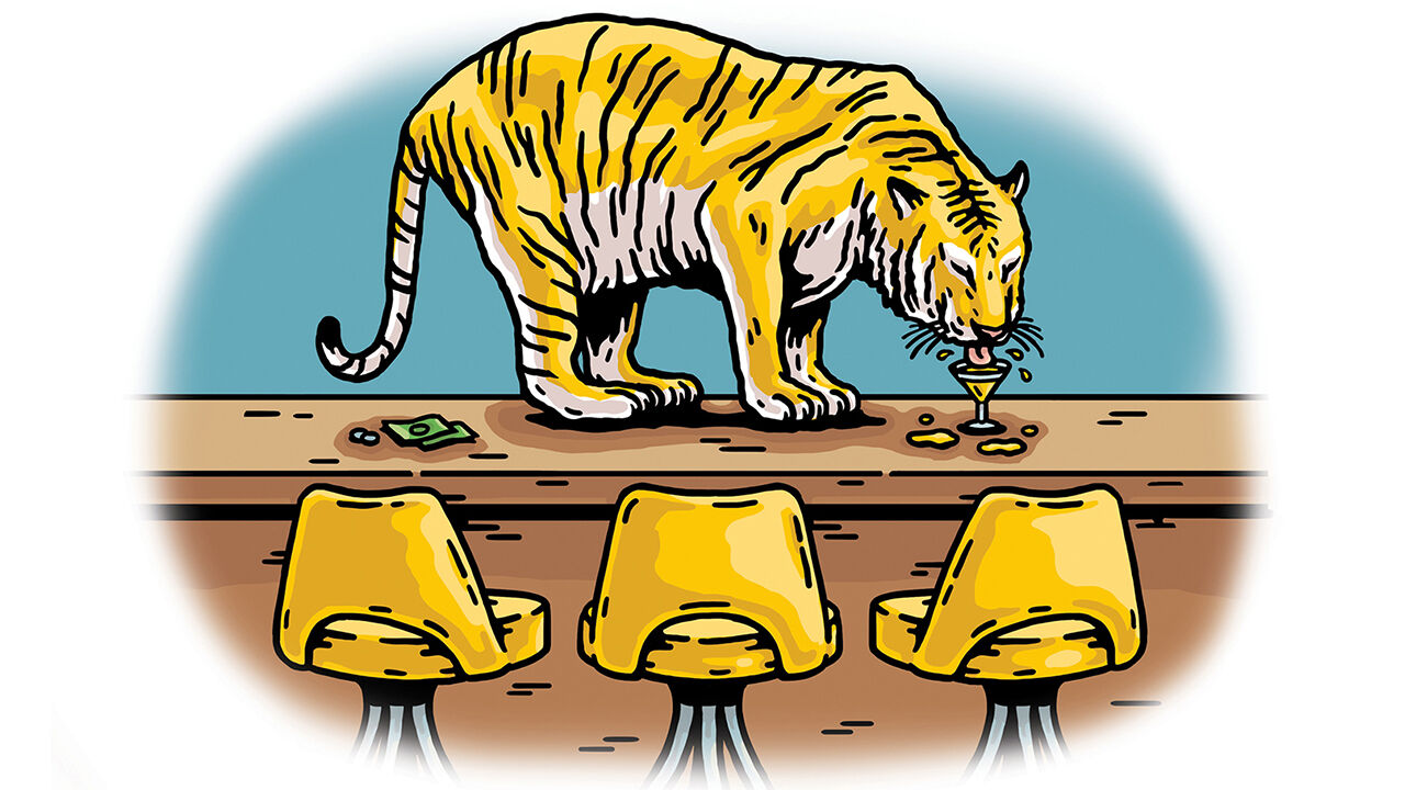 Le-Tigre